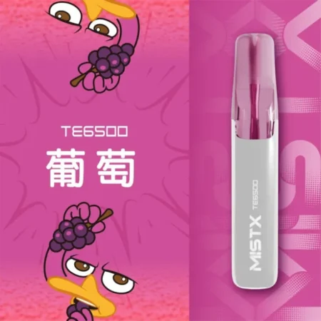 MIST X TE 鴨嘴獸 6500口 一次性電子煙｜長效續航｜拋棄式設計・免充電